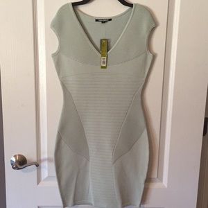 Gianni Bini - Seafoam Body Con Dress - Size XS NWT